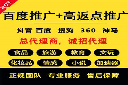 企业SEM服务实战案例解析